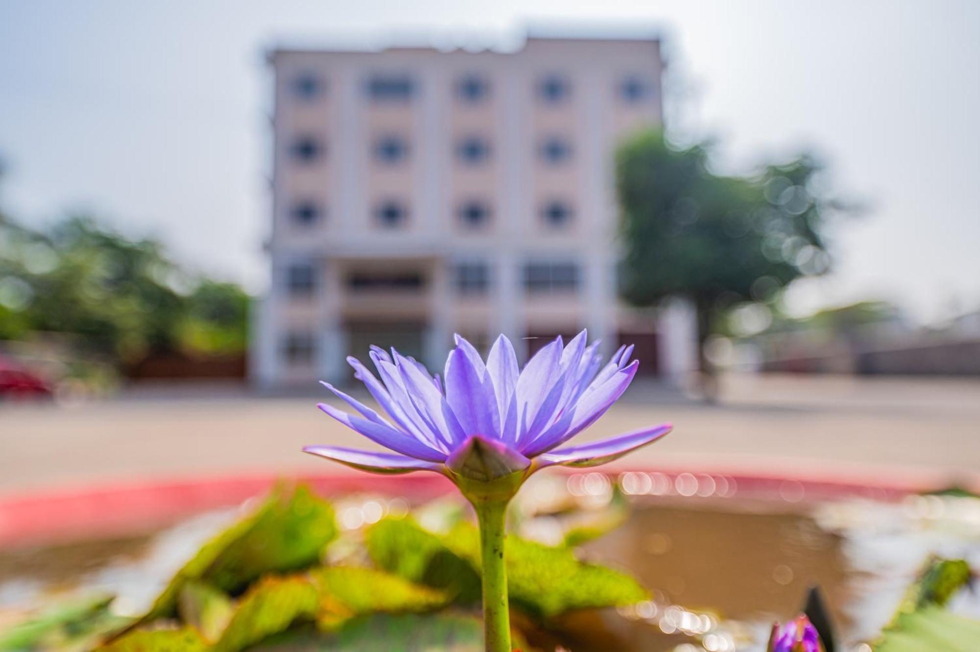 Lotus Leaf Hotel Pali  Buitenkant foto